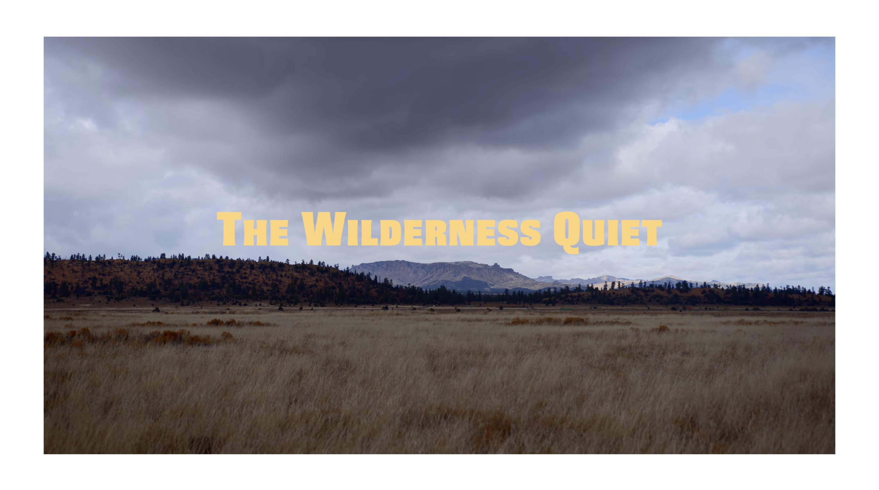 The Wilderness Quiet